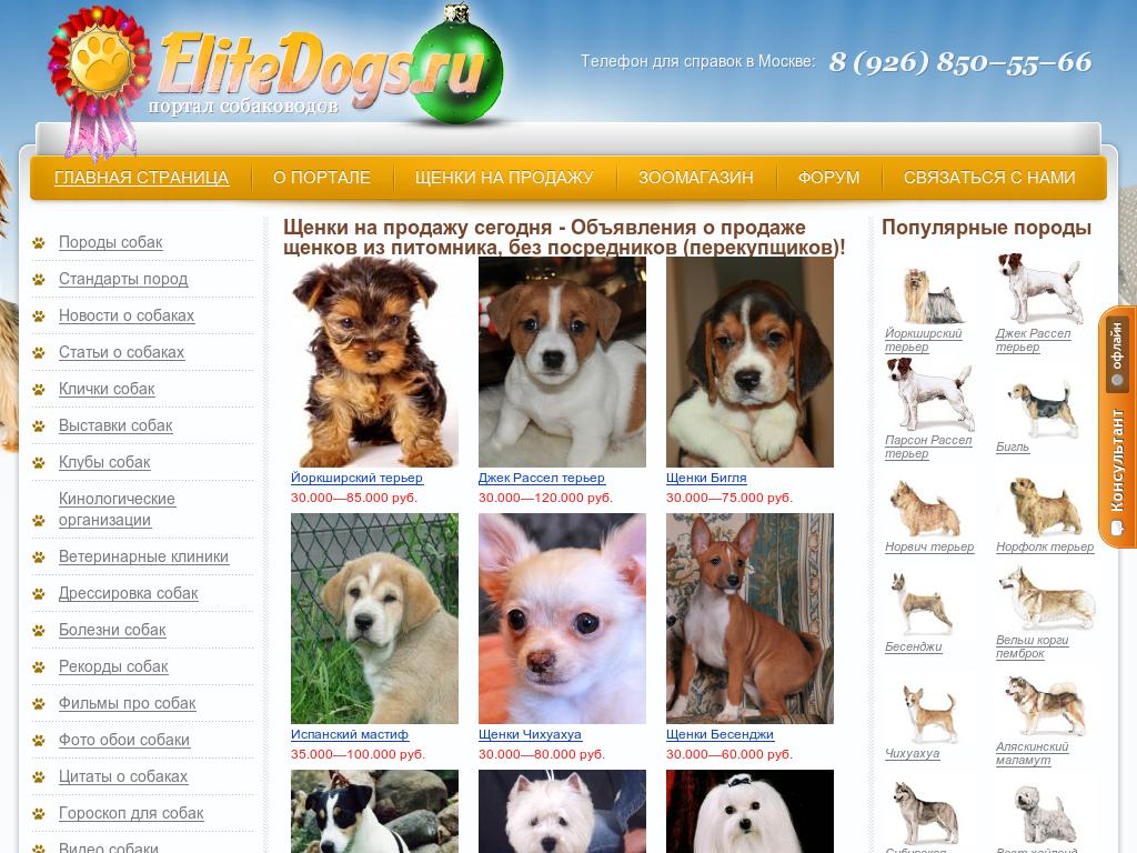 Портал собаководов Array Array